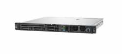 Server DL20 Gen11 E-2434 16GB 4SFF P65395-421